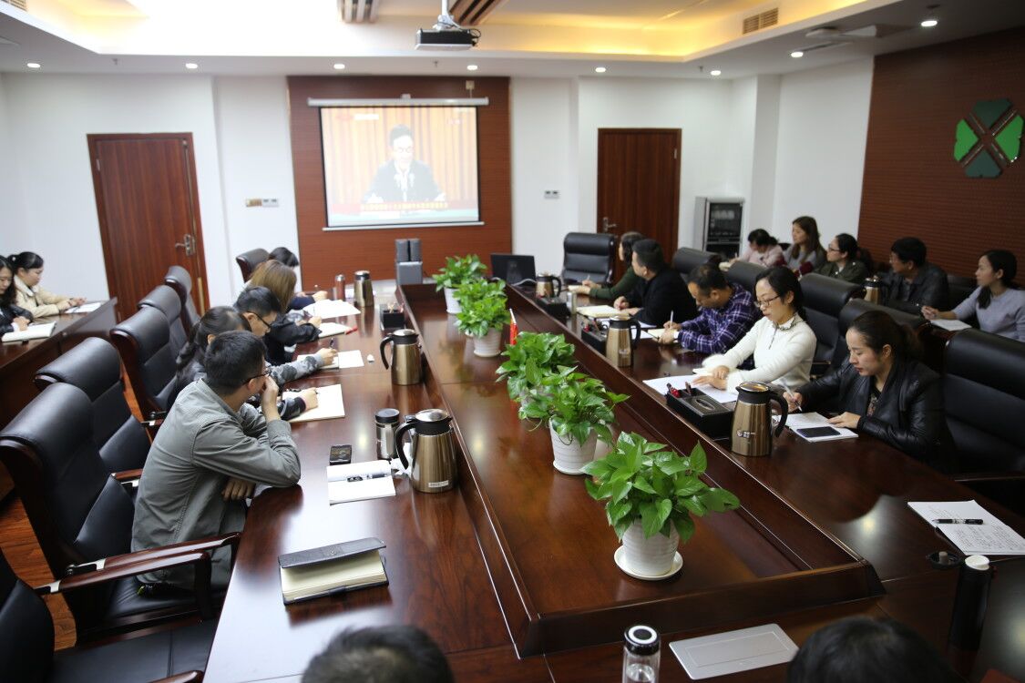 西南醫(yī)投組織集中收看學習貫徹黨的 十九大精神中央宣講團來川宣講報告會實況