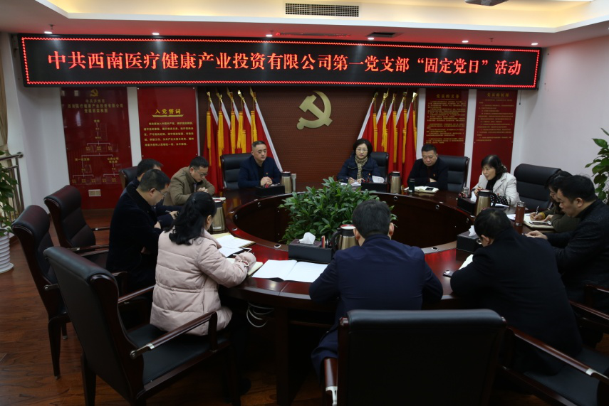 西南醫(yī)投第一黨支部開展固定黨日活動(dòng)