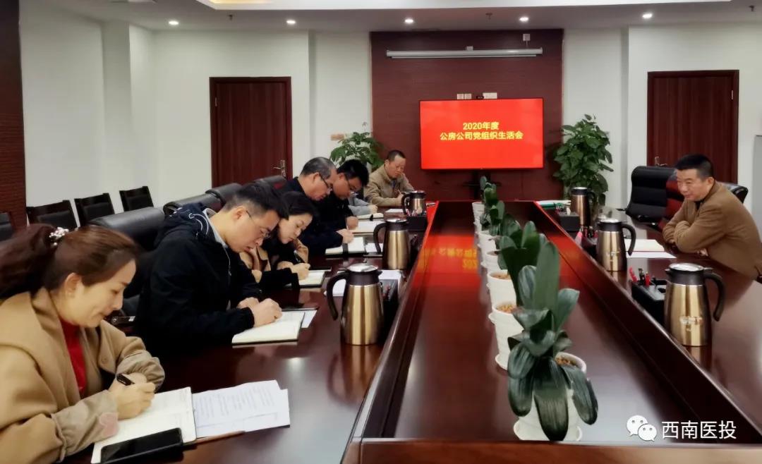 西南醫(yī)投集團各基層黨支部召開2020年度組織生活會、開展民主評議黨員工作