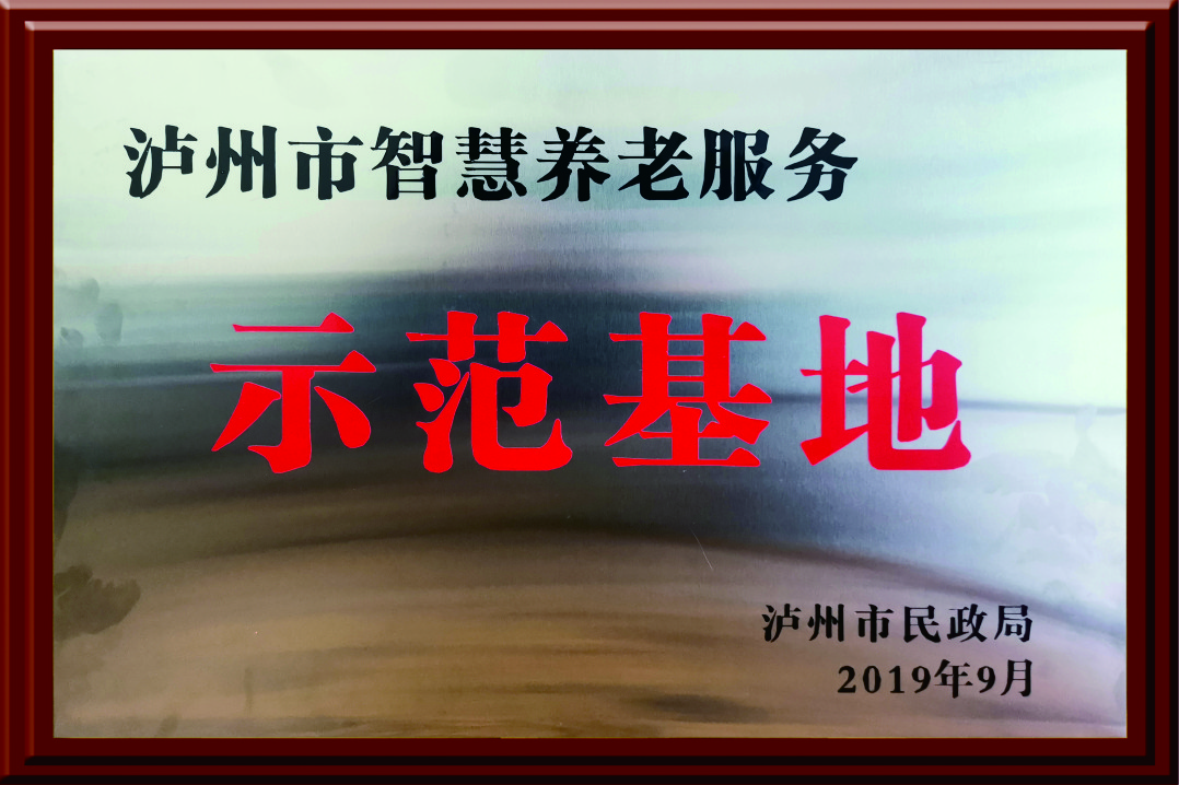 瀘州市智慧養(yǎng)老服務示范基地（春江酒城嘉苑項目）