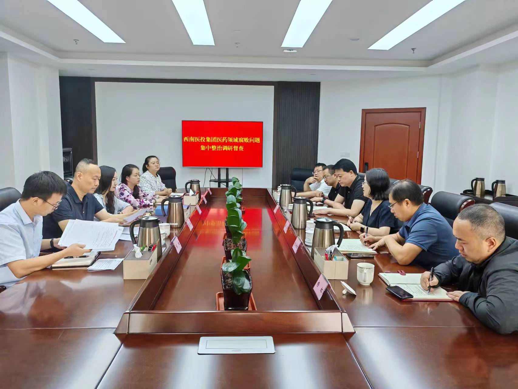 市紀(jì)委監(jiān)委駐市國資委紀(jì)檢監(jiān)察組赴西南醫(yī)投集團開展醫(yī)藥領(lǐng)域腐敗問題集中整治調(diào)研督查