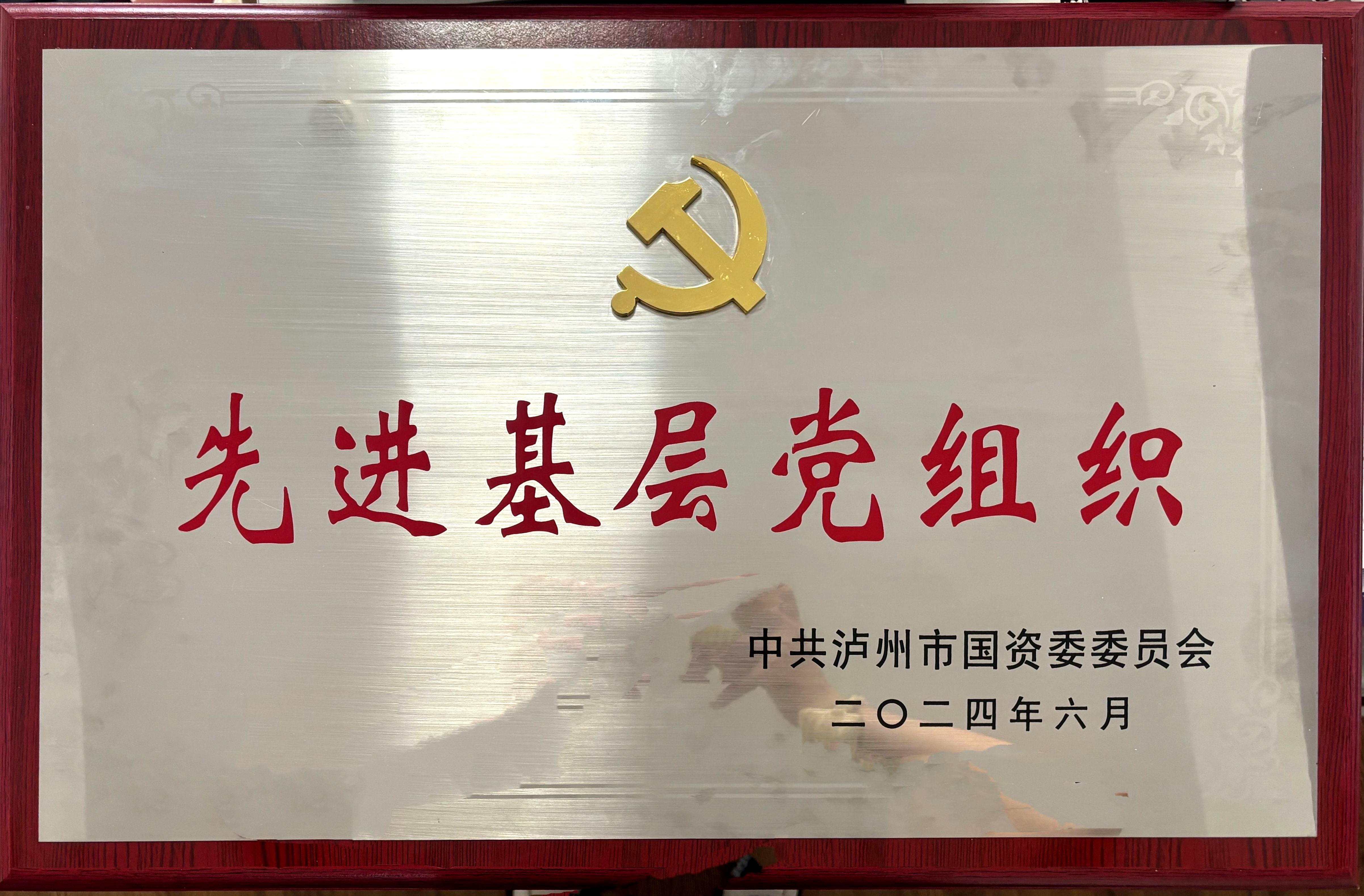 喜報(bào)！醫(yī)療投資公司黨支部獲評(píng)市國(guó)資系統(tǒng)先進(jìn)基層黨組織